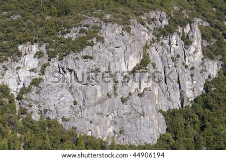 Bare patch of granite on treelined mountain, Yosemite National Park, California