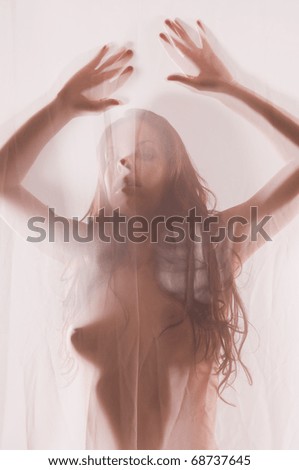 stock photo Beautiful young brunette nude behind shear fabric