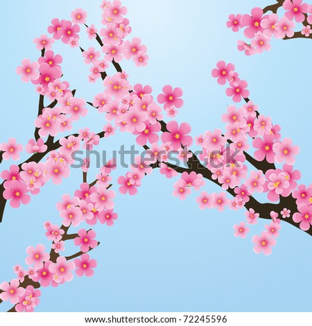 stock vector Cherry blossom flowers of sakura tree brunch blue sky