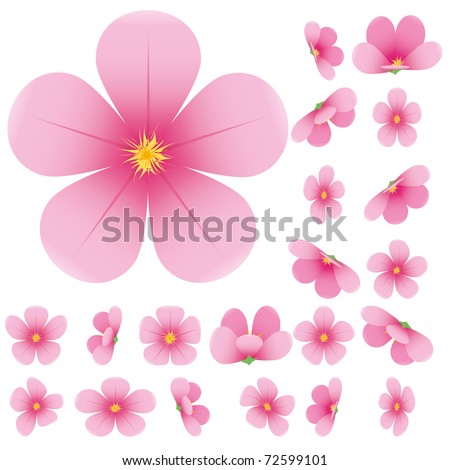 Cherry blossom, flowers of sakura, set, pink, flowers collection,vector illustration