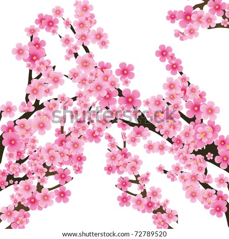 stock vector Cherry blossom flowers of sakura tree brunch 