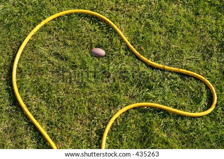 Yellow hose pipe shaped into a head with big nose on green grass