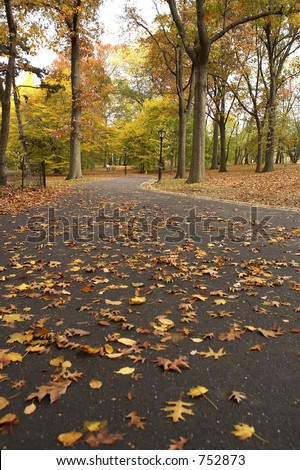 Pathways within the ramble, central park, Manhattan, New York, America, USA