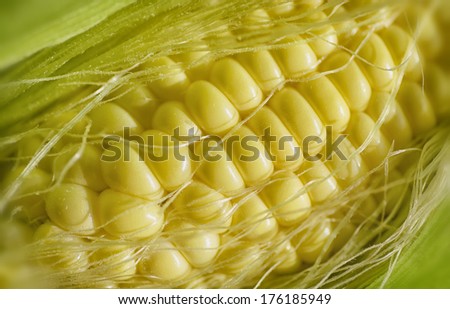 Love that corn on the cob. But wow does the corn silk just get everywhere.