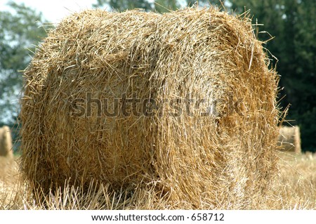 Wheat Sheaf