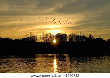 Sunset over a quiet country lake with a flock of geese forming up to head south for the winter.