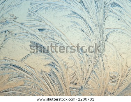 Delicate pattern etched by frost on a  window