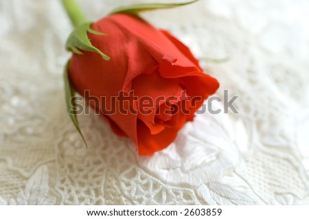 A lovely rose red lying on a white silk pillow.