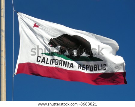 california flag. on the California flag.