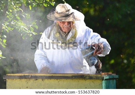 Experienced senior beekeeper making inspection in apiary after summer season