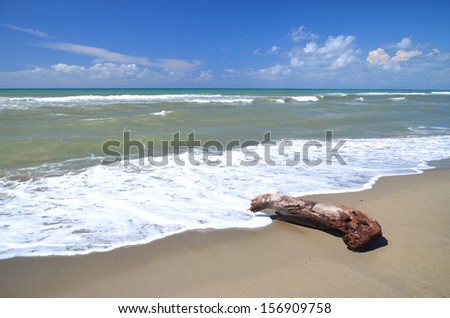 Restless sea on sandy beach Marina di Vecchiano nearby Pisa, Tuscany in Italy