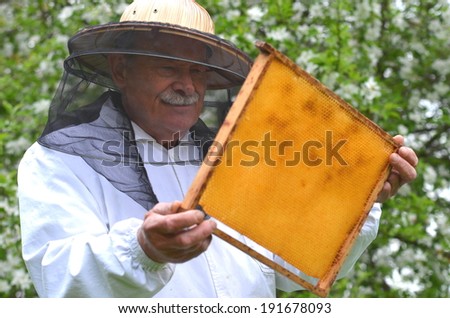 senior beekeeper making inspection in apiary in the springtime