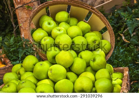Green apples ina bushel surrounded by fresh greens.
