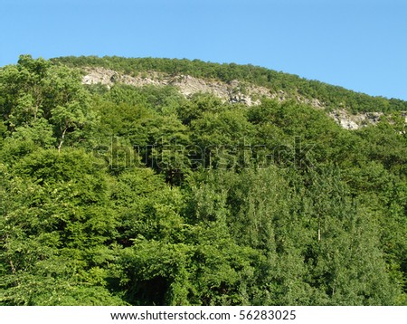 Trees and cliffs on the Mountain Side. Pocono Mountains Pennsylvania
