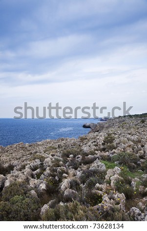 Shoreline along the Cape Nature Reserve located in Terrasini  Sicily. Reserve is characterized by natural vegetation, shrubs and herbaceous, consisting of species adapted to isolation and dryness.