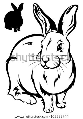 Rabbit Head Outline