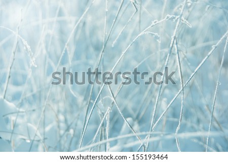 abstract winter background (out-of-focus frost field) - shades of light blue