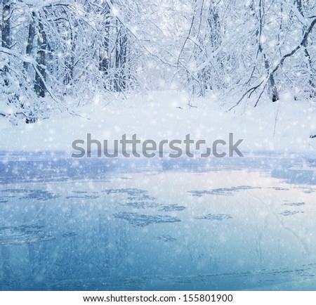 Winter In The Forest - Lake And Snowy Path