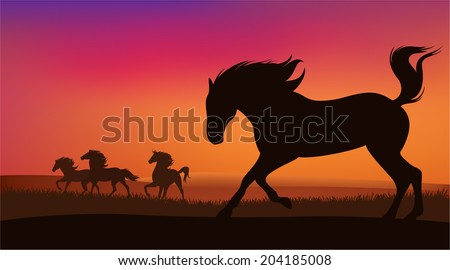 mustang horse herd running at sunset - silhouettes of speeding animals against bright sky