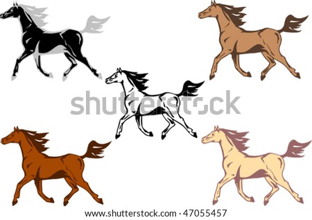 black and white pictures of horses running. lack and white pictures of