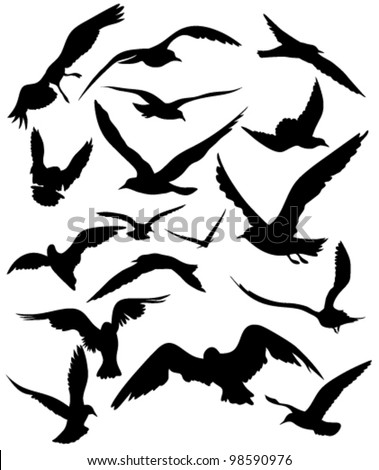 set of seagulls silhouettes - black flying birds on white