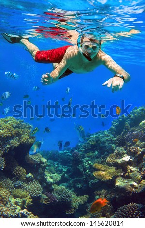 Man snorkeling in Red Sea of Egypt