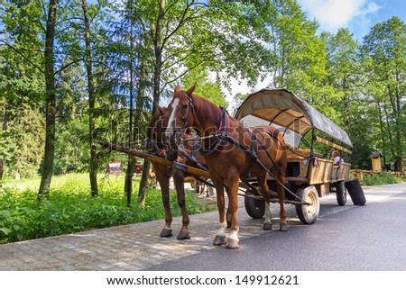 ZAKOPANE, POLAND - JUNE 25: Unidentified people at horse carts in Tatra National Park on 25 June 2013. Horse cart ride is a tourists attraction on the way to the \