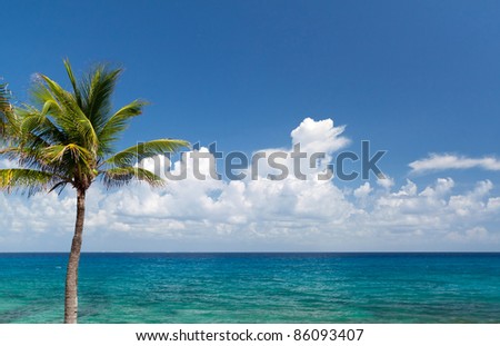 Idyllic scenery of Caribbean sea