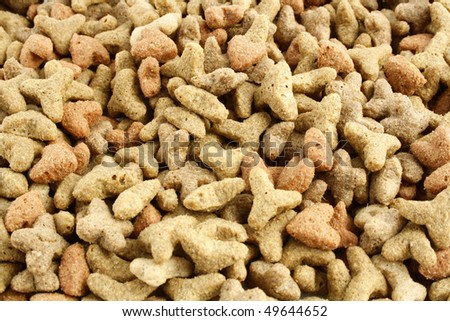 Cat Dry Food