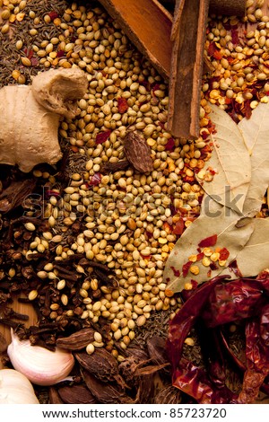 A collection of Indian spices as a food orientated background that will work well as a book cover. Indian spices.