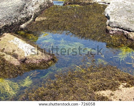 a water puddle in the rocks with multiple colors