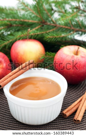 Apple sauce with cinnamon and fresh apples for christmas dessert, vertical
