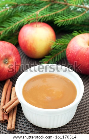 Apple sauce with cinnamon and fresh apples for christmas dessert, top view, vertical