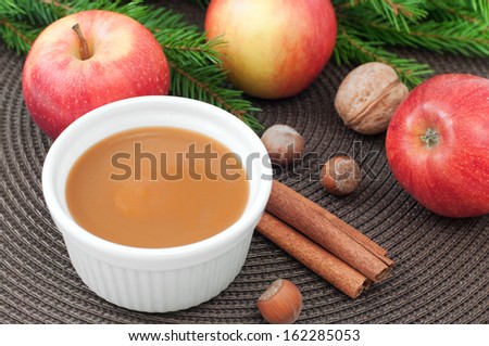 Apple sauce with cinnamon and fresh apples for christmas dessert, horizontal