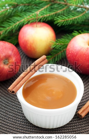 Apple sauce with cinnamon and fresh apples for christmas dessert, top view, vertical