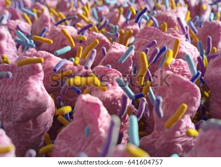 Intestinal villi. Small finger-like projections that extend into the lumen of the small intestine. Gut bacteria, flora, microbiome. 3d illustration.