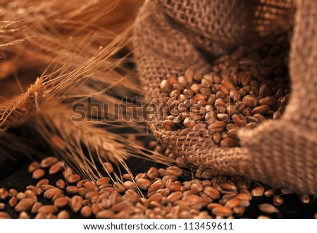 Seed and ears of cereal