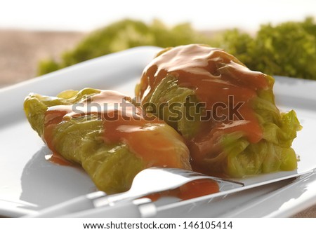 Stuffed cabbage rolls with tomato sauce on the white plate.