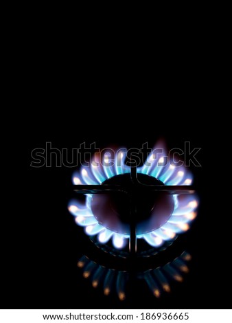 Gas cooker hotplate flame over black. Domestic energy supply or cooking on gas! Metaphor.