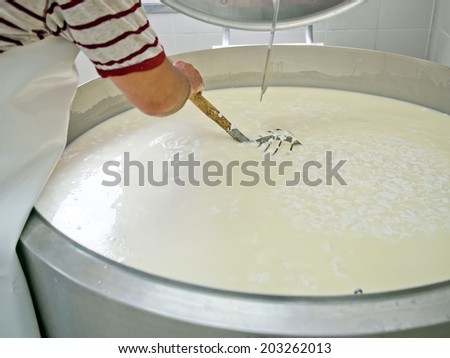 Genuine work in progress! Artisan cheese-making, cutting the curds and whey. unfocused