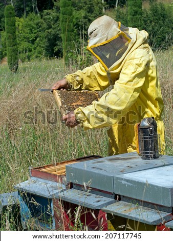 Rural industry, keeping bees.