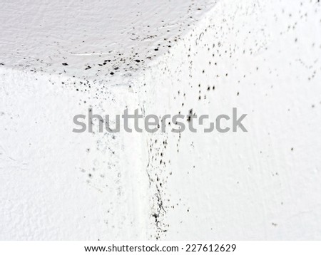 Mould from damp, condensation in house. Common in many old properties.