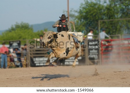 Bull-rider attempting to stay on jumping bull