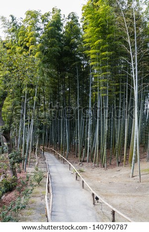Bamboo grove in Arashiyama in Kyoto, Japan near the famous Tenryu-ji temple. Tenryuji is a Zen Buddhist temple which means temple of the heavenly dragon and is a World Cultural Heritage Site.