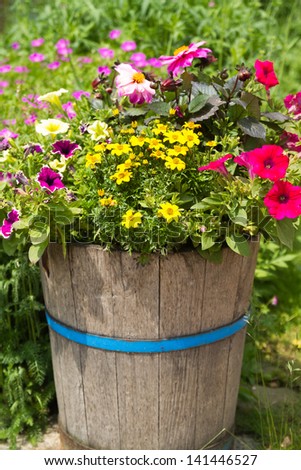 Wooden bucket with planted flower in a garden.