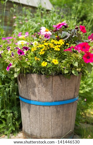 Wooden bucket with planted flower in a garden.