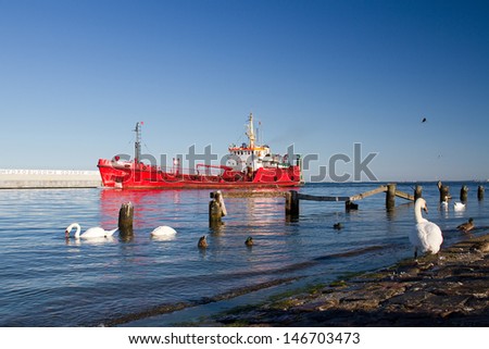White swan in the sea with red ship in the background