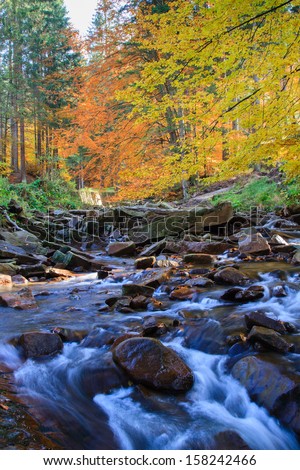 Mountain river. Gravel with colorful beech and maple leaves. Fresh green mossy stones and boulders on river bank after rainy day.