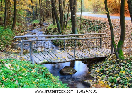 Bridge in bright forest. Natural composition