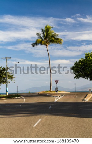 Palm tree at a roundabout, Magnetic Island, Queensland, Australia